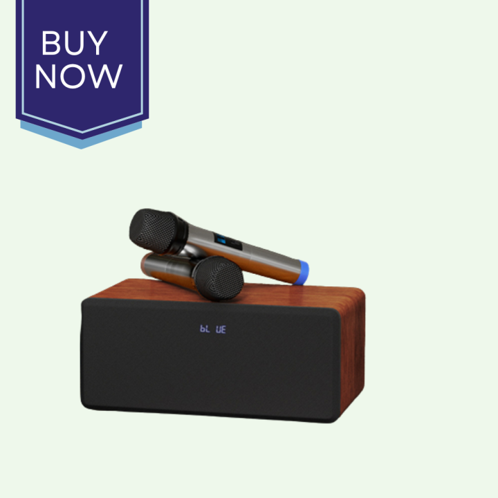 Portable TV Bluetooth Speaker Wireless Microphone Speaker Wooden