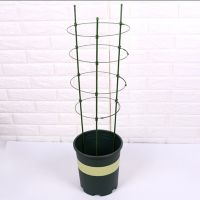 Pick Me Up Shop Climbing Vine Rack Conical Vegetable Trellis Plant Plant Support Frame Decorative Flower Gardening Tools