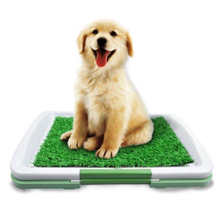 POTTY TRAINER Puppy Potty Pad Perfect Pets Indoor Dog Lazada PH