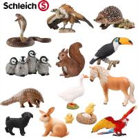 Morris8 Refined Simulation Animal Hedgehog Owl Cobra Macaw Bat Rattlesnake Vulture Otter Peacock Pangolin Squirrel Toy model