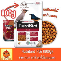 Nutribird F16 800g นิวทรีเบิร์ด อาหารนก นกกินแมลง นกกินผลไม้ นกเปล้า Fruit Doves, นกเดินดง Trushes, นกเจย์ Jays, นกขุนทอง