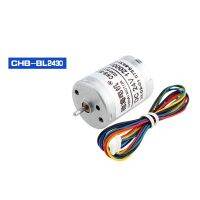 24.4MM BLDC2430 DC Brushless Motor 6PPR Drive 12V 24V Torque DIY Robot PTZ Smart Machines Parts