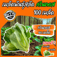 (เเถมกวางตุ้ง)เมล็ดพันธุ์ผักสลัด กรีนคอส 100เมล็ด อัตราการงอก95% เมล็ดพันธุ์ คอสผักสลัด เมล็ดผัก เมล็ดผักสลัด พันธุ์พืช พันธุ์ผักสวนครัว