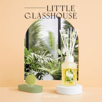 Little Glasshouse : Moreover Reed Diffuser Room Perfume ก้านไม้หอมกระจายกลิ่น น้ำหอมบ้าน ก้านไม้หอม น้ำหอมปรับอากาศ
