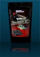 อาหารปลาน้ำจืด ยี่ห้อโอเชี่ยน นูทริชั่น  Colossus Q² (Sinking) 500g  เม็ดจม ขนาด 500กรัม