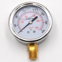 1/4 NPT Automotive Oil Pressure Gauge Instrument Hydraulic Meter Gauge 0-3500 PSI