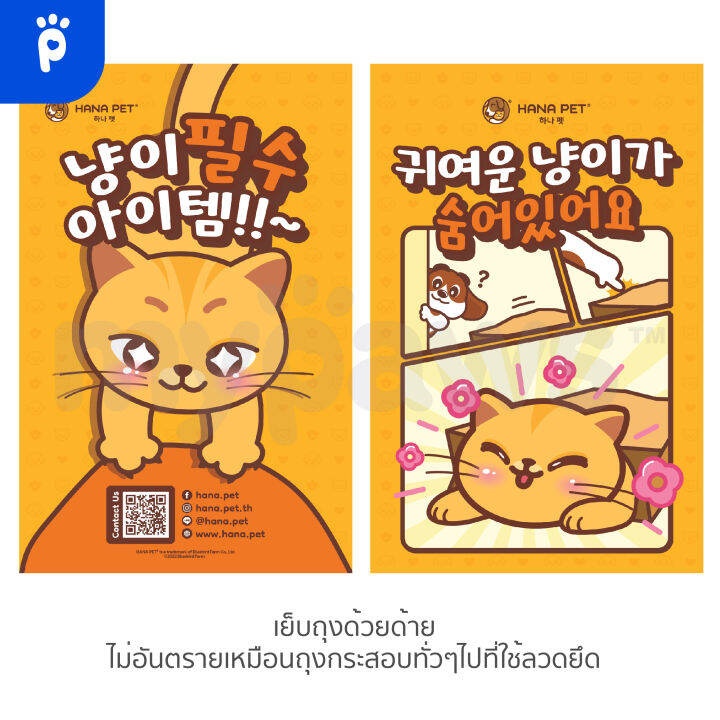 my-paws-hana-pet-ถุงแมวมุด-ถุงของเล่นสำหรับน้องแมว