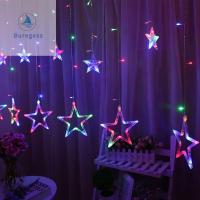 BUREGESS AC 220V 2.5M Christmas Holiday Decoration Wedding Party LED Curtain String LED Lights Fairy Light Lighting Strip