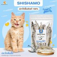 Mr.Kangaroo ปลาไข่เต็มตัว (Freeze Dried Shishamo) ปลาไข่ ขนมฟรีซดราย ขนมแมว จากโปรตีนแท้ 100%