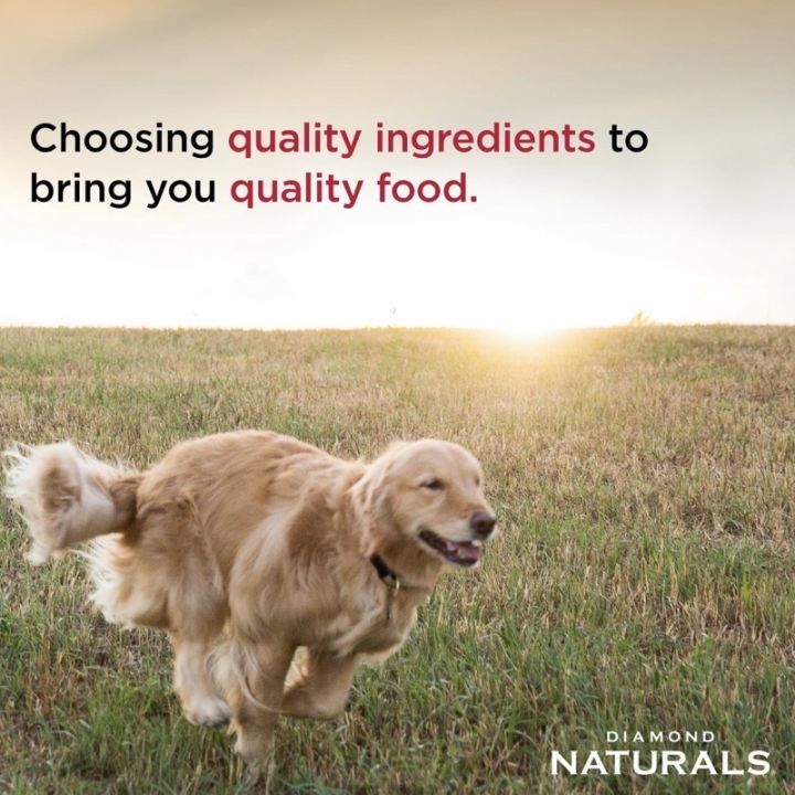 diamond-naturals-senior-dog-chicken-egg-amp-oatmeal-formula-for-dogs-15-8-kg