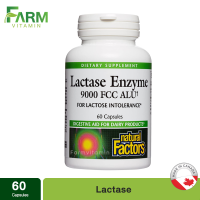 Natural Factors, Lactase, 60 Capsules