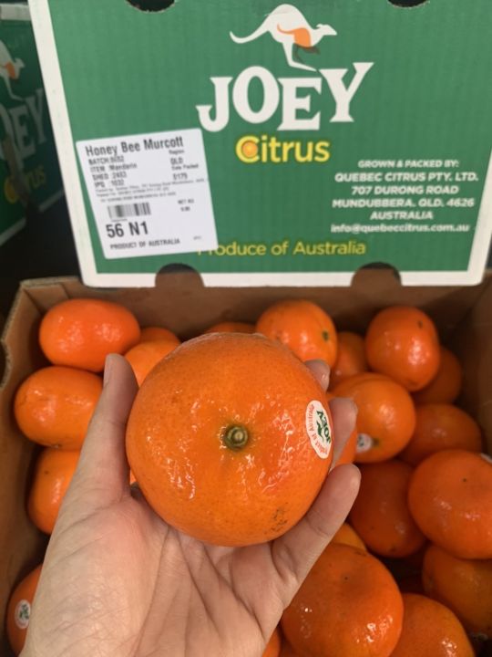 ส้ม-ส้มแมนดาริน-ออสเตรเลีย-ตราจิงโจ้-joey-กล่องเขียว-aus-56-64-ลูก-ลัง-นำเข้าจากออสเตรเลีย-น้ำหนักชั่งรวมลังประมาณ-9-กิโลกรัม