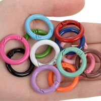 【CW】 5Pcs/Lot 13 Colors Metal Gate Round Openable Keyring Buckle Dog Chain Clasp Keychain Accessories