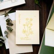COONOTE 50 Tờ Giấy Đặc Biệt Nhiều Màu Vật Liệu Trang Trí Tờ Để Làm Sổ Lưu