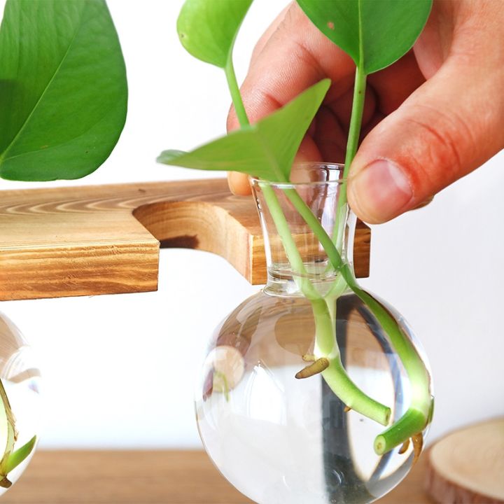 glass-bottle-vase-hydroponic-plant-transparent-vase-wooden-frame-coffee-shop-room-decor-table-desk-decoration-vase-terrarium