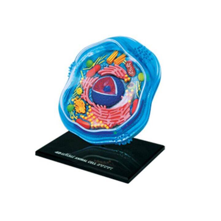 Animal Cells 4D Master Puzzle Assembling Toy Human Body Organ