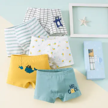 Children Panties Boys' Boxer Brief Underwear Kids Underpants 5pcs