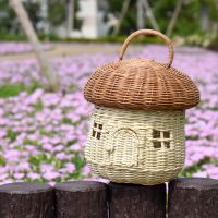 Mushroom Basket Bag Designer Wicker Woven Women Handbags Lovely Summer Beach Straw Bag Bali Holiday Box Purses