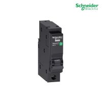 เซอร์กิตเบรกเกอร์ลูกย่อย  Schneider Square D