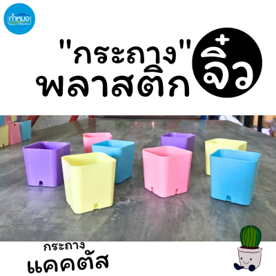 SM-018 กระถางต้นไม้จิ๋ว ปลูกแคคตัส สำหรับปลูกหรือวางต้นไม้เล็ก พลาสติก ขนาด2นิ้ว สีพาสเทลน่ารักสดใส **ราคาต่อแพ็ต**