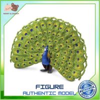 Safari Ltd. : SFR264629 โมเดลสัตว์ Peacock Model Action Figure Cartoon แอกชั่น ฟิกเกอร์ ของเล่น ของสะสม ของเล่นเด็ก ตุ๊กตา Mamy and Buddy