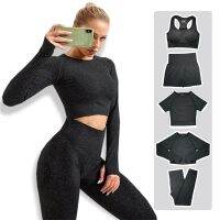 [COD] European and seamless running sports underwear fitness short-sleeved quick-drying trousers yoga suit for women