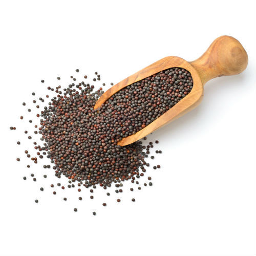 black-mustard-seeds-kali-sarso-100gm