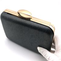 Lady evening bag clutch metal frame with plastic shell light gold purse hardware accessories