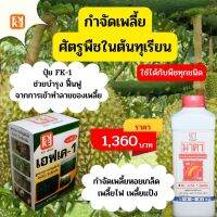 กำจัดเพลี้ย ศัตรูพืชในต้นทุเรียน มาคา สารอัลคาลอยด์สกัดจากธรรมชาติ FK-1 เร่งฟื้นฟูจากการเข้าทำลายของเชืั้อราในต้นทุเรียน