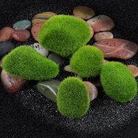 hot【cw】 Moss Marimo Aquarium Cladophora Underwater Ornament Foreground Decoration Stone