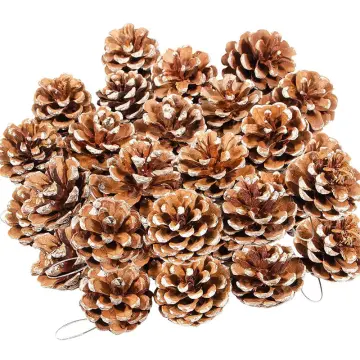 24 PCS Nature Pine Cones Christmas Pine Cones Ornament with String Rustic  Snow Pine Cones Hanging Pinecone Ornaments for Fall Thanksgiving Winter  Xmas