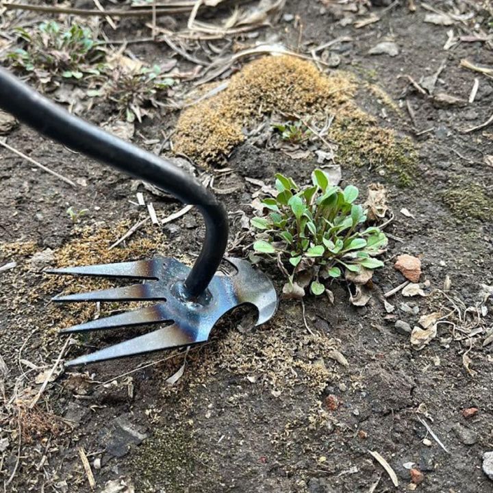 เครื่องกำจัดวัชพืชในสวนสแตนเลสแบบ2อิน1ที่ดึงดินหลวมสำหรับกำจัดวัชพืชด้วยมืออุปกรณ์ทำมือทำสวน