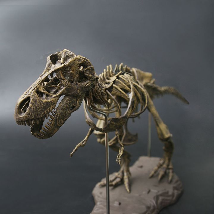 giant-dinosaur-skeleton-skeleton-skeleton-furnishing-articles-simulation-model-of-jurassic-assembled-dragon-tyrannosaurus-rex