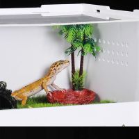 Reptile Feeding Box Double Layers Breeding Case Acrylic Terrarium Clear Insect Habitat for Mini Pet Lizard Centipede