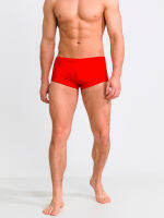 23-28-02 Hazelwood Mens Swim Trunks William - FIERRY RED