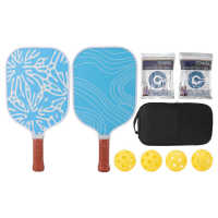 Pickleball Paddle And Ball Set Sweat Absorbing Pickleball Rackets การออกแบบรังผึ้งน้ำหนักเบาสำหรับกีฬา