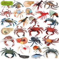 2022 Ocean Sea Lifeจำลองสัตว์ปูกุ้งก้ามกรามปูเสฉวนการกระทำของเล่นตัวเลขคอลเลกชันการศึกษาของขวัญสำหรับเด็ก