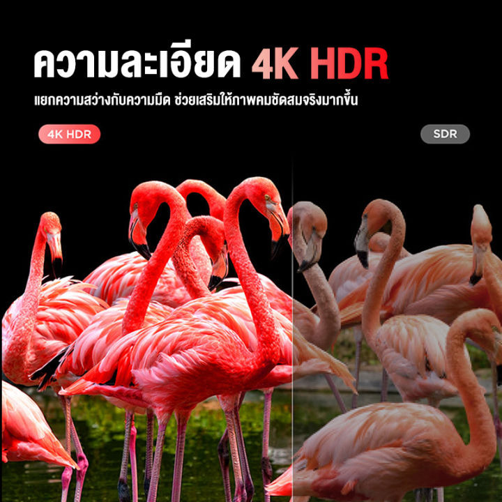 expose-ทีวี-50-นิ้ว-สมาร์ททีวี-4k-uhd-smart-tv-led-android-tv-โทรทัศน์-wifi-youtube-nexflix-hdmi-usb-ราคาถูกๆ-ศูนย์บริการประเทศไทย