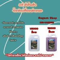 [ขายดี]  5 ลิตร 4 แกลลอน  ENGINECLEAN คาร์เอ็นจิ้นคลีนคาร์ เอ็นจิ้นคลีน ผลิตภัณฑ์ล้างเครื่องยนต์ภายนอก