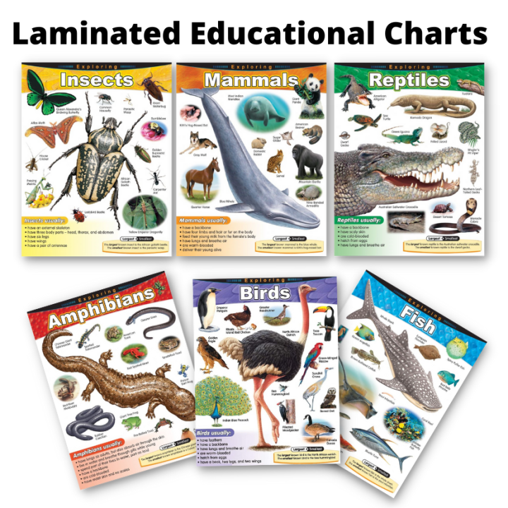 Laminated Amphibians, Birds, Fish, Insects, Mammals, Reptiles Charts