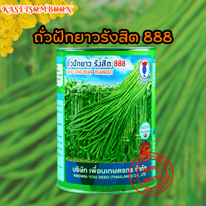 ถั่วฝักยาวรังสิต-888-เมล็ดพันธุ์ถั่วเนื้อ-500-ก-ตราดอกแดง