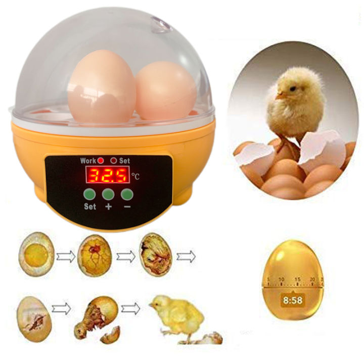 ส่งฟรีด่วน-ตู้ฟักไข่ถูกๆ-7-ฟอง-เครื่องฟักไข่-ตู้ฟักไข่ไก่-เครื่องฟักไข่อัตโนมัติ-ตู้ฝักไข่ไก่-เครื่องฟัก-อัตโนมัติ-ไข่ไก่-นก-รับประกัน