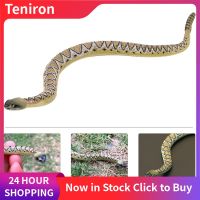 Teniron พีวีซีงูรุ่นเด็กงูตกแต่งงูเครื่องประดับเด็กงูองค์ความรู้รูปแบบ