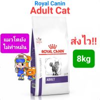 Royal Canin Adult 8kg cat โรยัลคานิน อาหารแมวโต ไม่ทำหมัน อายุ1ปีขึ้นไป โรยัลคานิน ขนาดถุง 8 กิโลกรัม