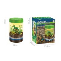 [COD] Xueyouma dinosaur landscaping ecological planting childrens mini plant growth observation record bottle potted night light