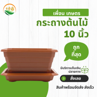 กระถางปลูกต้นไม้ กะถางต้นไม้ กระถาง 10 นิ้ว จานรอง สีอิฐ จัตุรัส กระถาง 4 เหลี่ยม