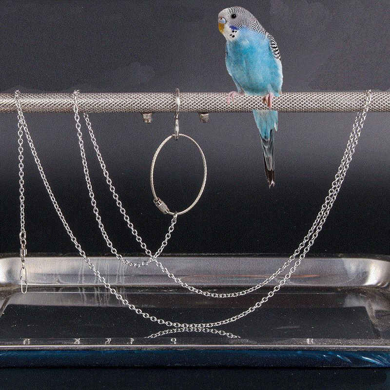 Ring Toys 4.5mm Parrot Toy 3.5/4.5/5.5mm Stainless Steel Pet Birds Foot Stand Chain
