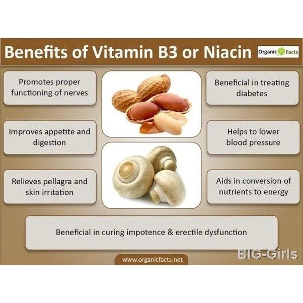 ไนอะซิน-วิตามินบี-3-niacin-vitamin-b3-100-mg-100-tablets-solgar-b3-บี3-b-3