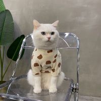 (พร้อมส่ง)White teddy pet | เสื้อยืดแขนสั้นสำหรับสัตว์เลี้ยง ชุดหมาชุดแมว เนื้อสัมผัสนุ่ม พิมพ์ลายตุ๊กตาหมี