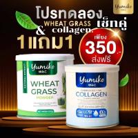 ส่งฟรี ! เซ็ทคู่ 1 แถม 1 ( 2 กระปุก)วีทกราส คลอโรฟิลล์ &amp; เพียวคอลลาเจน แบรนด์ ยูมิโกะ